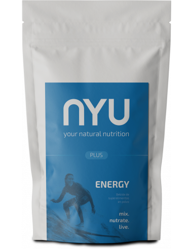 Energy Plus